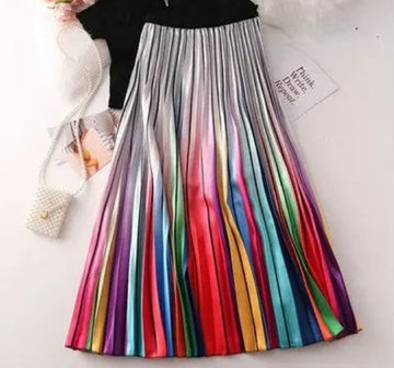 Multi Color Pleated Skirt