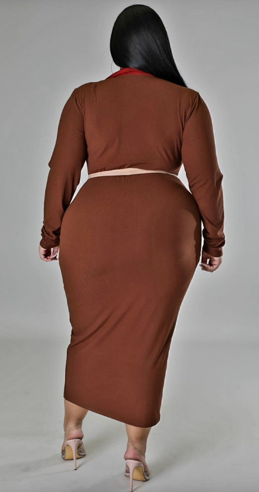 Brown/Tan V Neck Dress
